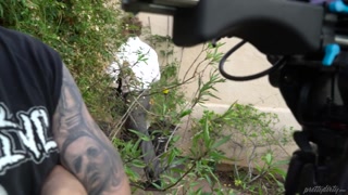 Michael Vegas Fucks Alison Rey Outdoors - BTS Feature - pelacur berahi dalam HD BIGWHORE.COM