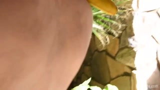 Jody's Beautiful Redhead Solo in Many More Pleasures 8 - โสเภณีที่มีความหลงใหลใน HD BIGWHORE.COM