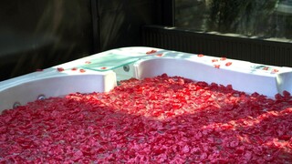 Tattooed Loren Minardi Gets Barefoot and Naughty - leidenschaftliche Huren in HD BIGWHORE.COM