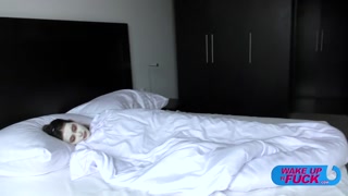 Blowjob and Ass Licking with Gisha Forza - โสเภณีที่มีความหลงใหลใน HD BIGWHORE.COM