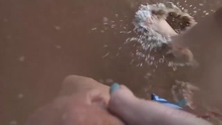 Amateur Audrey Royal - Shower Handjob from Brunette GF - curve pasionate în HD BIGWHORE.COM
